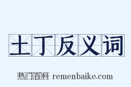 土丁反义词是什么意思的图片